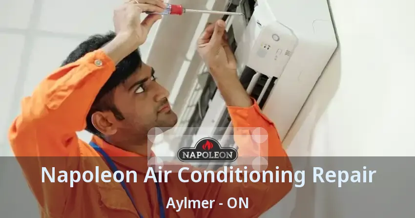 Napoleon Air Conditioning Repair Aylmer - ON