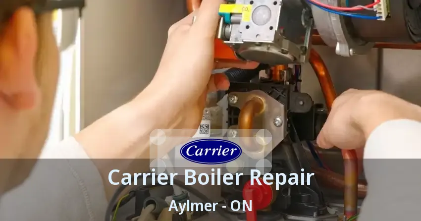 Carrier Boiler Repair Aylmer - ON