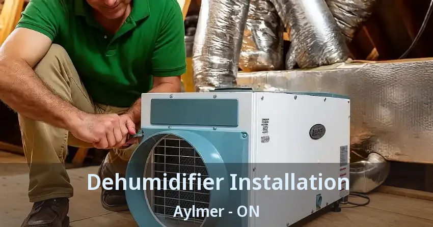 Dehumidifier Installation Aylmer - ON