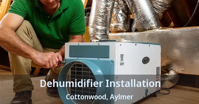 Dehumidifier Installation Cottonwood, Aylmer - ON