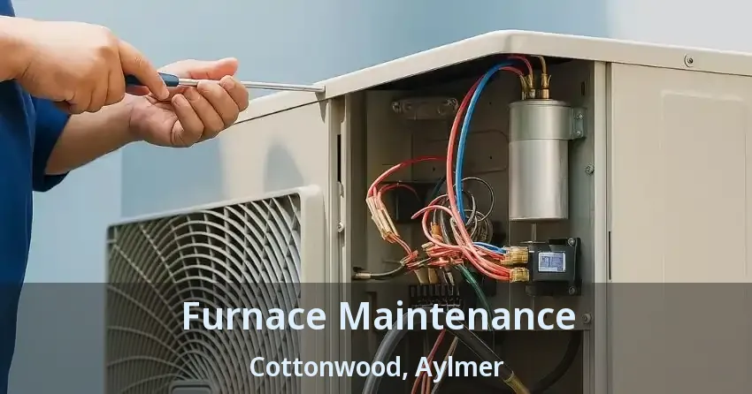 Furnace Maintenance Cottonwood, Aylmer - ON