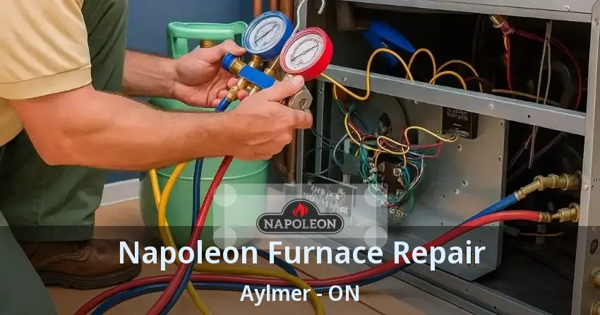 Napoleon Furnace Repair Aylmer - ON