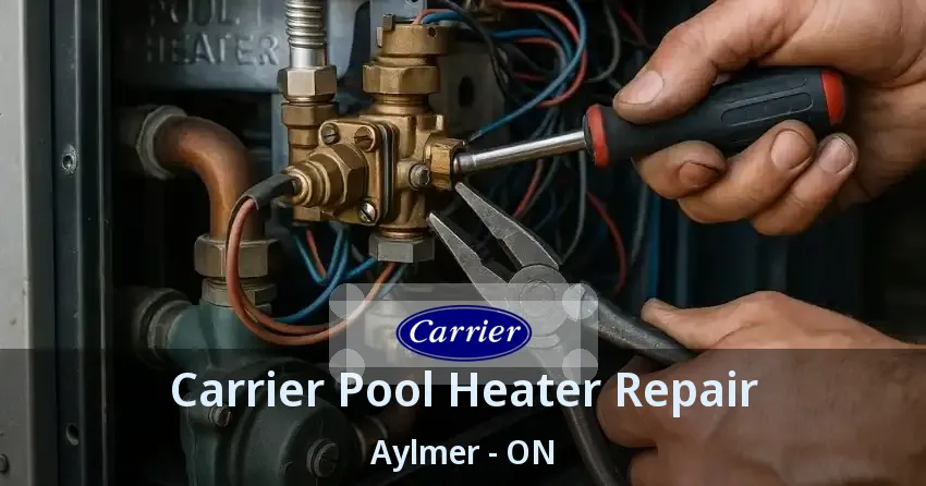 Carrier Pool Heater Repair Aylmer - ON